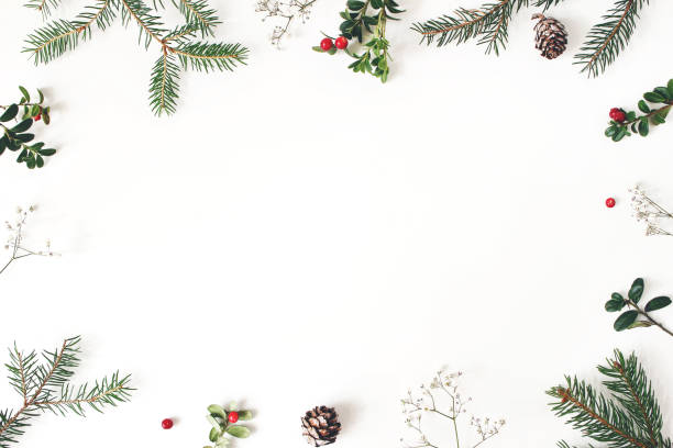 istock Christmas floral frame, decorative border. Winter composition of red cranberry branches, baby's breath flowers, spruce tree branches and larch cones on white table. Festive background. Flat lay, top view. 1072249906