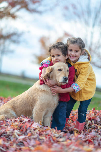 istock Siblings and their dog on a fall day 1072254452