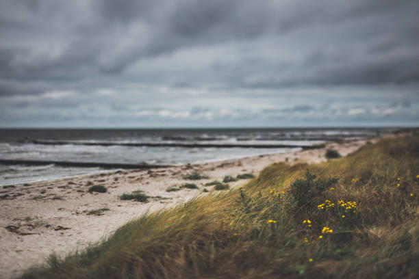 istock Cloudy day at the sandy beach by the Baltic Sea /Hiddensee 1072273492