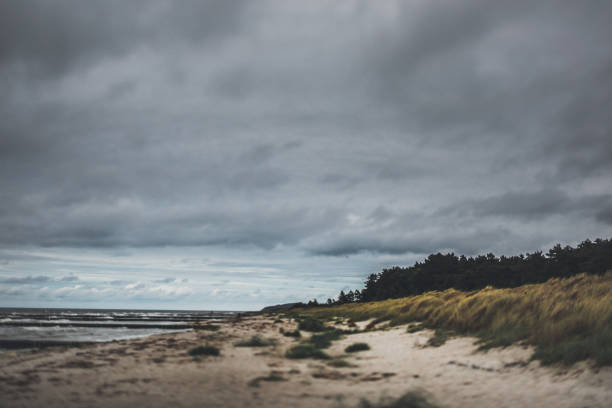 istock Cloudy day at the sandy beach by the Baltic Sea /Hiddensee 1072273556