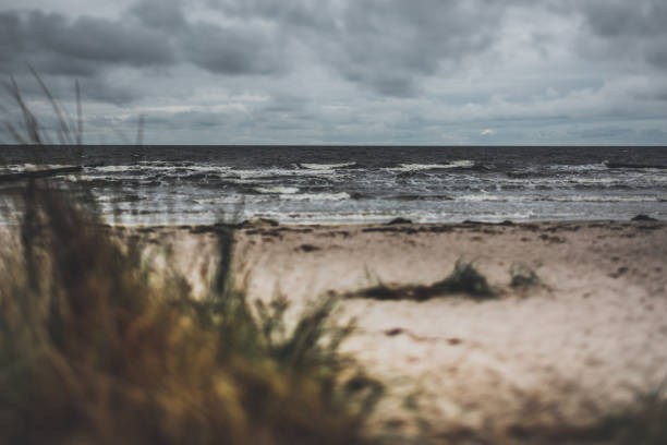 istock Cloudy day at the sandy beach by the Baltic Sea /Hiddensee 1072274182