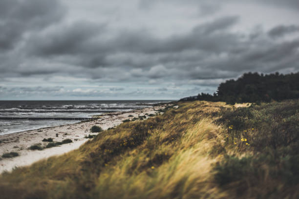 istock Cloudy day at the sandy beach by the Baltic Sea /Hiddensee 1072274248