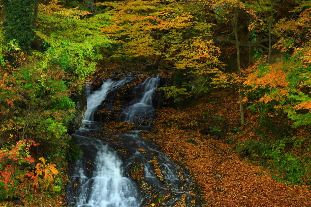 istock Falls of autumnal leaves 1072280222