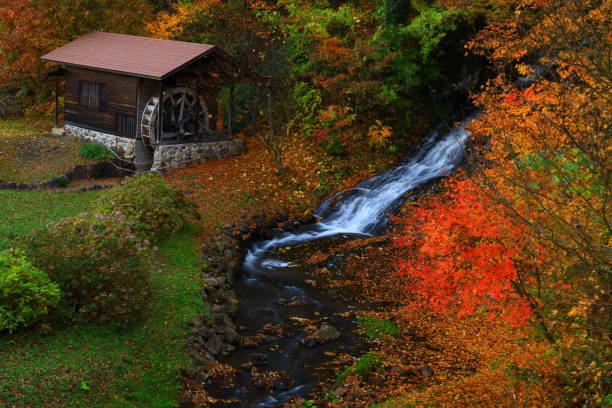 istock Falls of autumnal leaves 1072283764