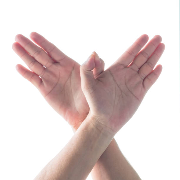 istock Isolated woman's hands in butterfly flying shape on white background 1072287020