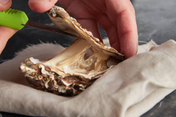 istock Man opening fresh oyster 1072288120