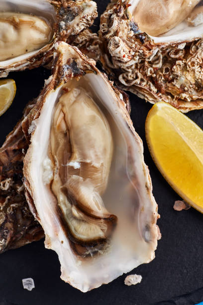 istock Fine de claire oysters with lemon slices 1072288176