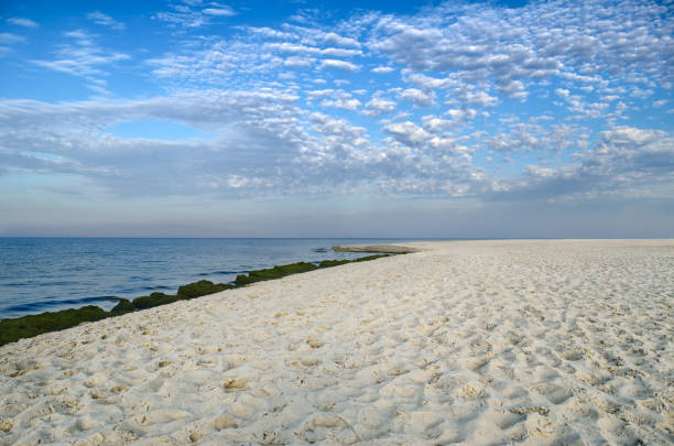 istock Clean, sandy beach against the blue sea 1072291362