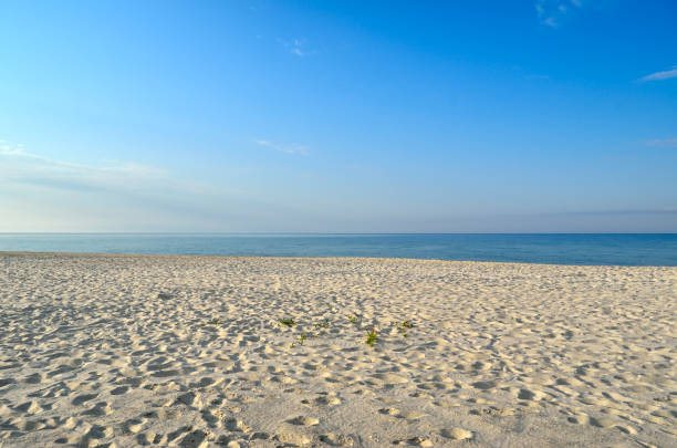 istock Clean, sandy beach against the blue sea 1072291448