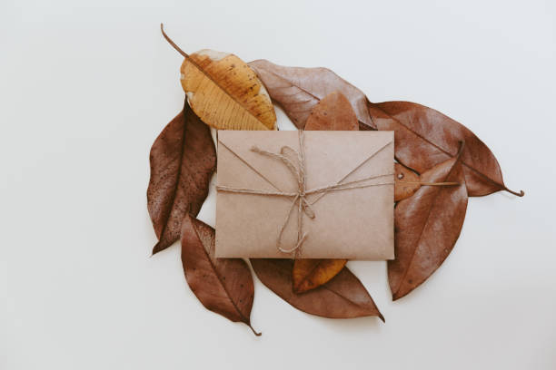 istock Flat lay craft envelope, on white background . Mockup for banner, greeting card. Woman's day, 8 march, wedding, dating, love concept. Flat lay, top view. 1072291566