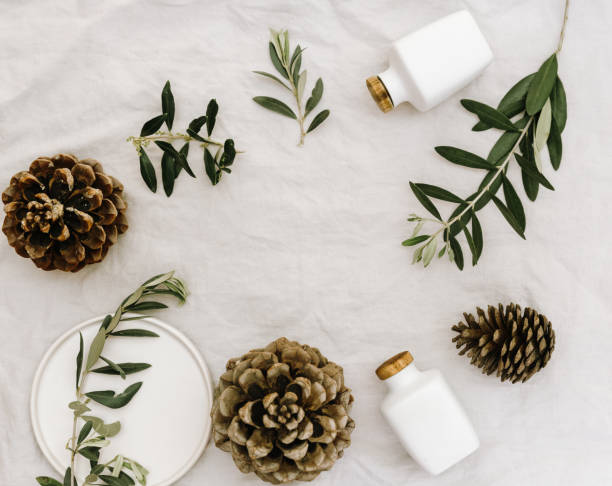 istock Minimal nature concept, pine cones, olive branches on linen background 1072293736