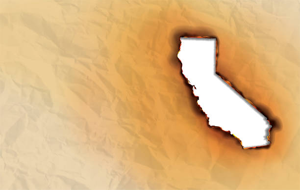 Сalifornia Wildfire State Map Burning Wrinkled Paper on Fire Сalifornia Wildfire State Map Burning Wrinkled Paper Texture on Fire Vector Illustration forest fire stock illustrations