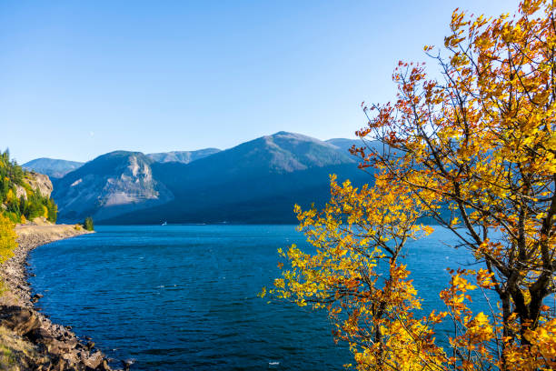 herbstliche landschaft die faszinierende tierwelt der columbia river gorge - majestic awe canyon national park stock-fotos und bilder