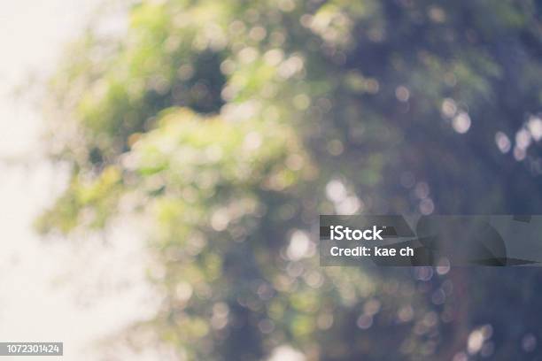 Reclaimed Background Bokeh Blur Stock Photo - Download Image Now - Abstract, Activity, Airport