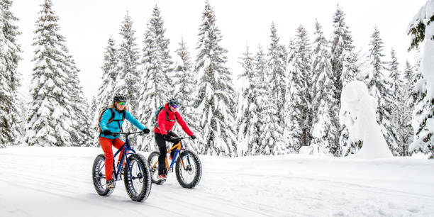 Couple on fatbikes cycling through a scenic snowy forest stock photo