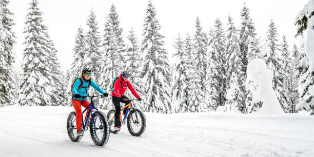 Tranquil scene with two cyclists on fatbikes riding through a snow-covered forest.