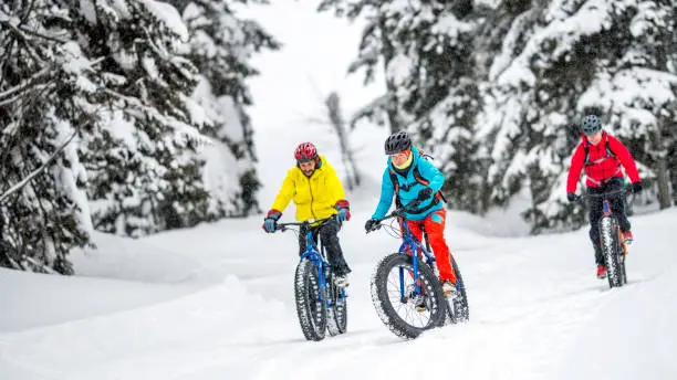 Three friends on fatbikes riding uphill in a snowy forest.