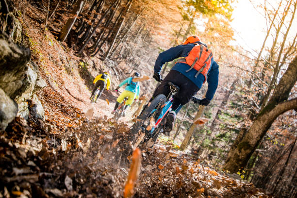 tre mountain biker in bicicletta in salita in un bosco in autunno - journey footpath exercising effort foto e immagini stock