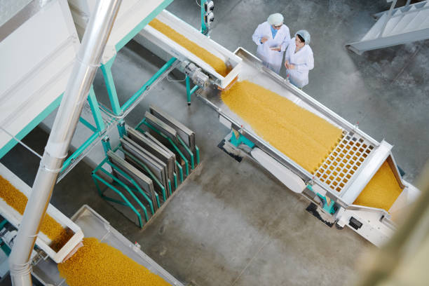 istock Food Production Industry 1072311056