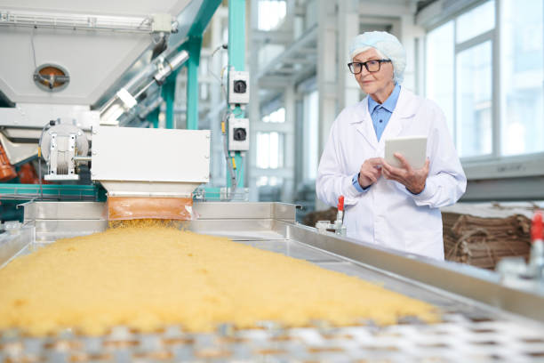 istock Female Senior Inspector at Factory 1072311072
