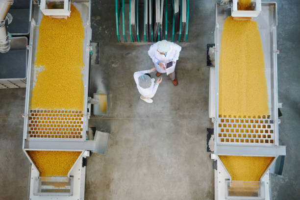 istock Macaroni Production Factory 1072311084