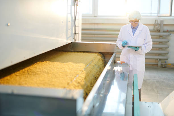 istock Food Production Workshop in Sunlight 1072311198