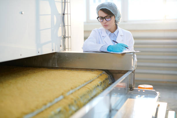 istock Young Woman Working at Factory 1072311218