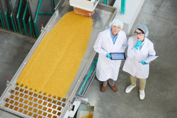 istock Two Women Overseeing Production at Factory 1072311274
