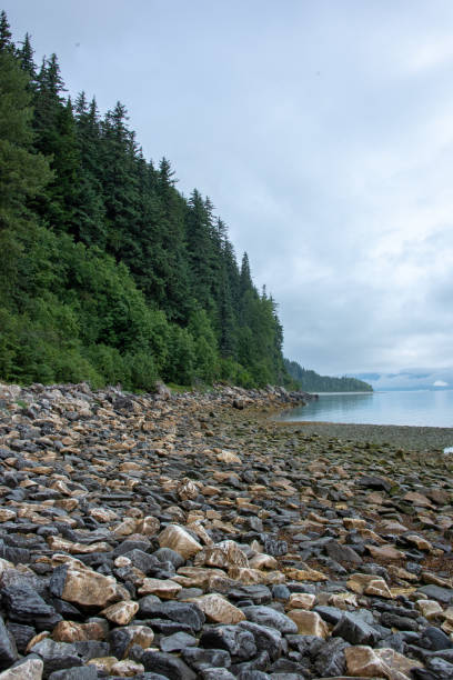 istock Alaskan Outdoors 1072311322