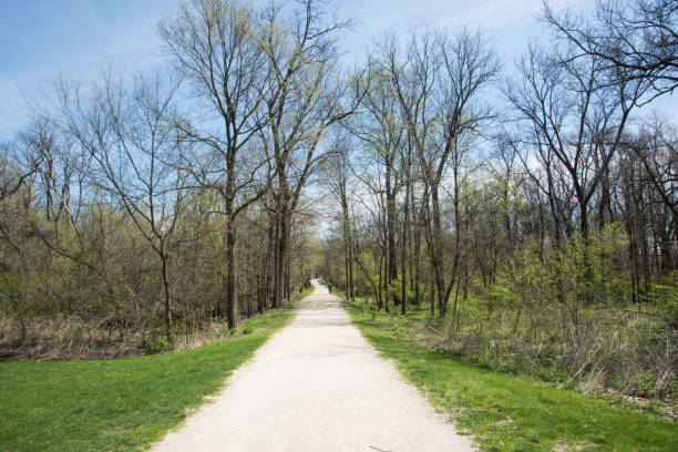istock Treelined Woodland Trail 1072313580