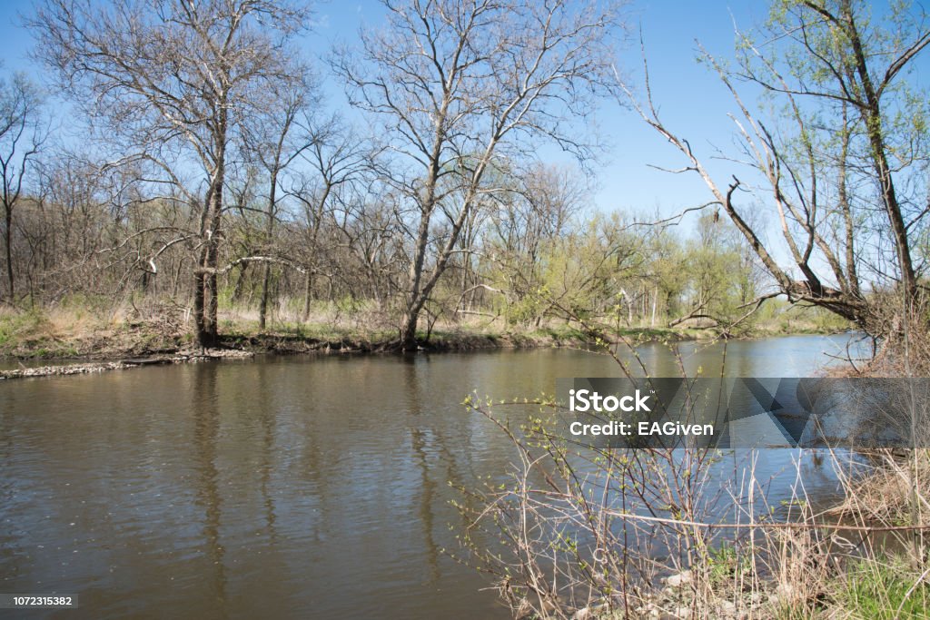 Flowing DuPage River Flowing west branch of the DuPage River during spring at McDowell Grove Preserve in Naperville, Illinois Backgrounds Stock Photo