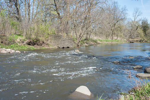 DuPage River rapids with forest during spring at McDowell Grove Preserve in Naperville, Illinois