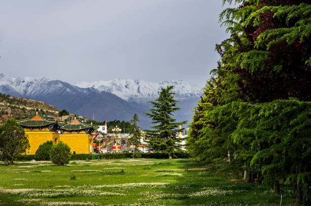 istock Potala palace in Lhasa, Tibet 1072323156