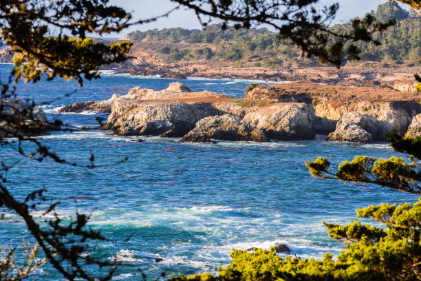 istock Landscape in Point Lobos State Natural Reserve 1072323208