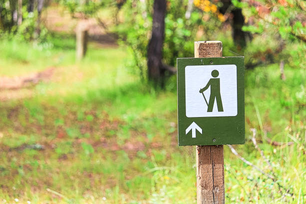 Brown and white with in a backpacker showing where the hiking trail is at