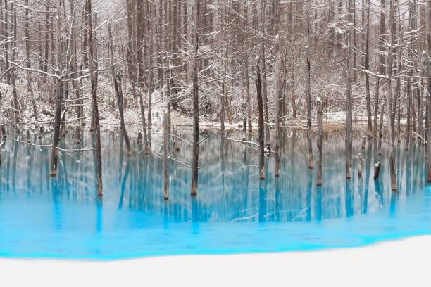 Blue pond frozen gradually Blue pond frozen gradually shirogane blue pond stock pictures, royalty-free photos & images