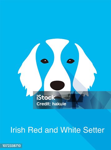 istock Irish Red and White Setter dog face flat icon design, vector illustration 1072338710