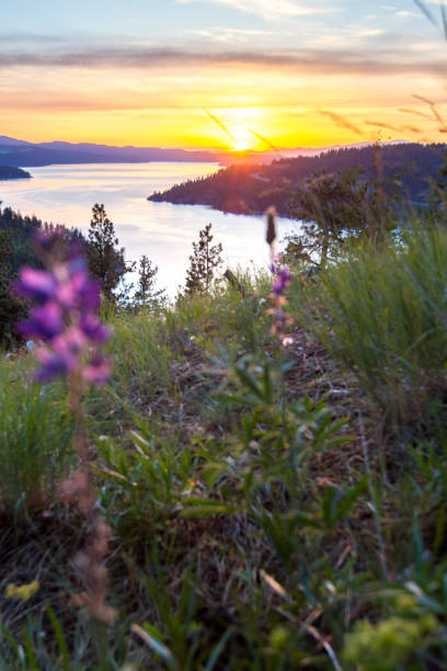 Coeur d' Alene lake beautiful sunset viewed from the top of a popular hiking trail in Northern Idaho, Mineral Ridge choeur stock pictures, royalty-free photos & images