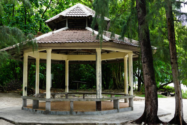istock Arbor in the rainforest on the islands 1072349194