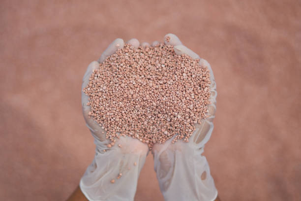 fertilizante en mano del agricultor. fertilizantes npk son tres componentes fertilizantes proporciona nitrógeno, fósforo y potasio - sales growth fotografías e imágenes de stock