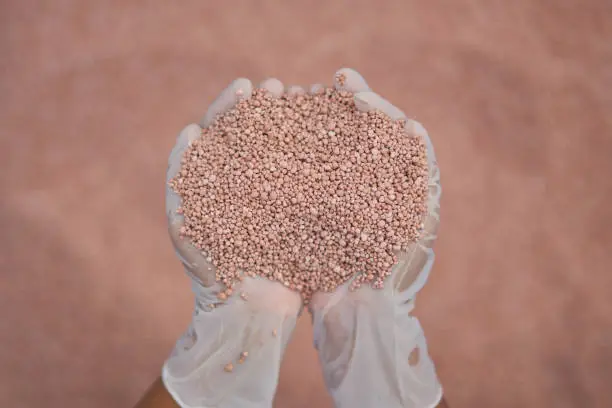 Photo of fertilizer in farmer hand. NPK fertilizers are three-component fertilizers providing nitrogen, phosphorus, and potassium