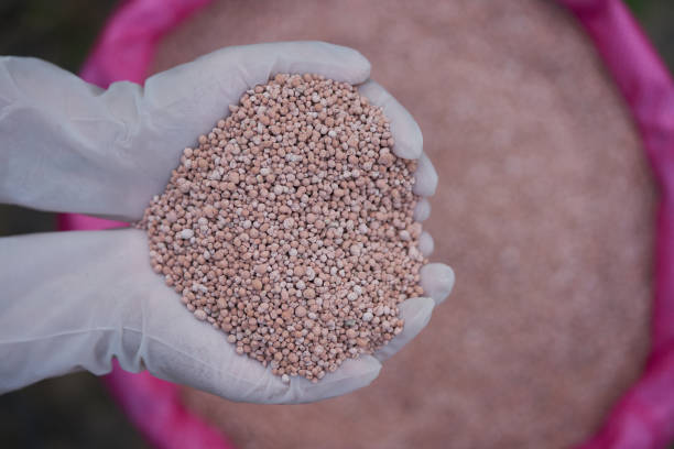 istock fertilizer in farmer hand. NPK fertilizers are three-component fertilizers providing nitrogen, phosphorus, and potassium 1072349330