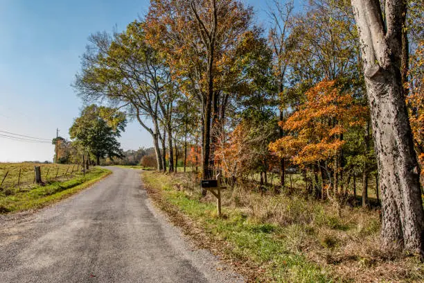 Photo of Autumn country road
