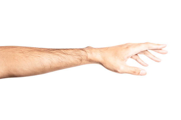 istock Hand open and ready to help or receive. Gesture isolated on white background with clipping path. 1072352012