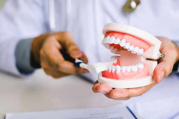 cerca dentistas de mano están demostrando cómo cepillarse los dientes correctamente. - scrub brush fotos fotografías e imágenes de stock