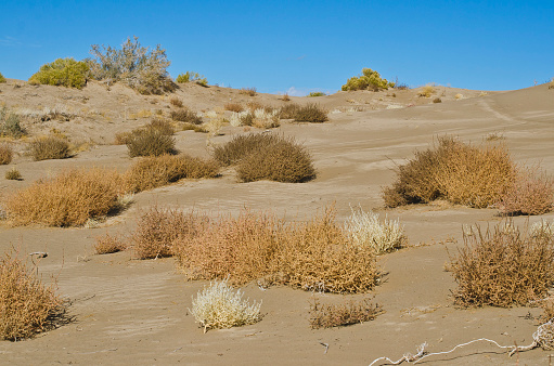 Mesquite Sand Dunes located within Death Valley National Park. This is a popular travel destination for adventure seekers.