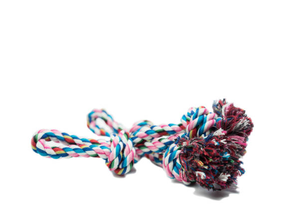 istock Pet toy on isolated white background. 1072360108