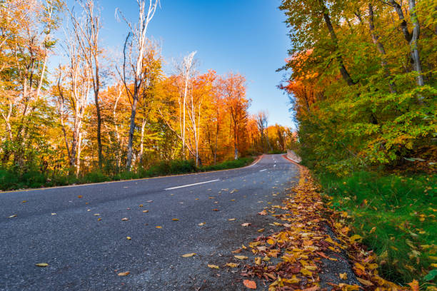 istock Highway in the autumn mountain forest 1072360260