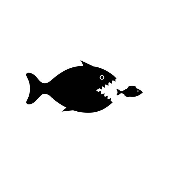 illustrazioni stock, clip art, cartoni animati e icone di tendenza di icona del pesce grosso su sfondo bianco - animal large cartoon fish