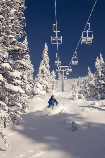 istock Skiing on a powder day 1072366716